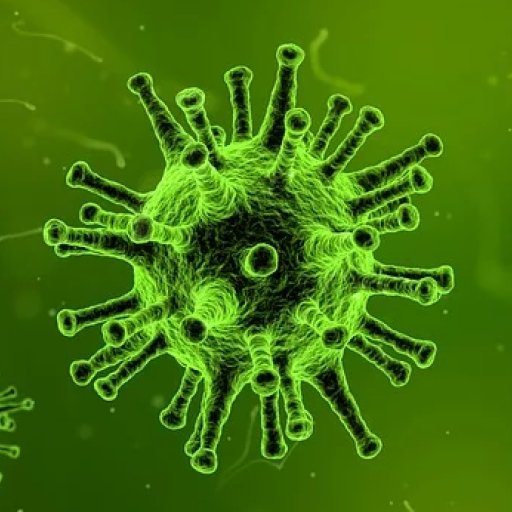 virus